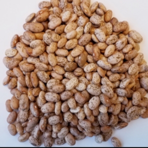Pinto Beans